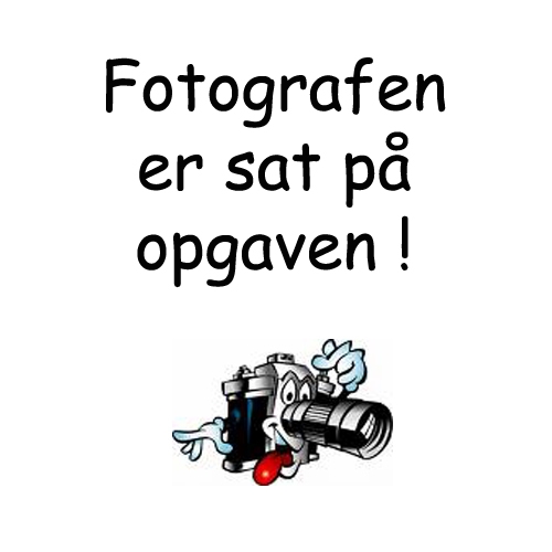 gay pono herrer dansk gangbang gay pono herrer dansk gangbang